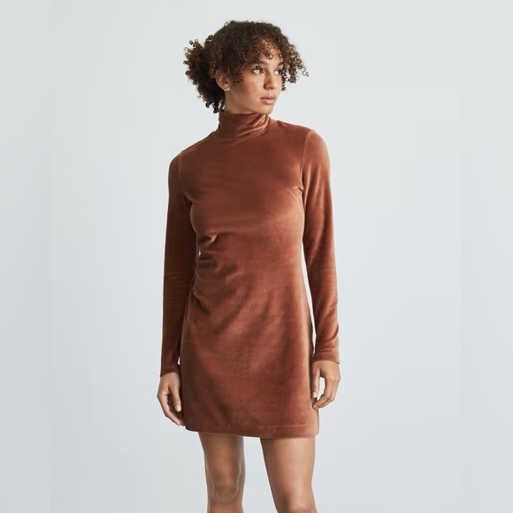 Everlane Velour mini dress / size Small - Picture 3 of 3